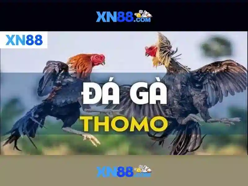 💎99win tải về💎 - 99win tải app - 99win tv