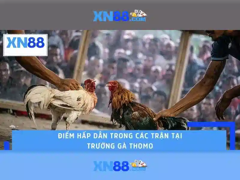 💎kèo nhà cái 188💎