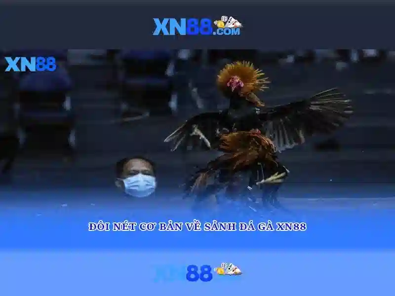 💎manclub 868💎 - manclub chính thức - manclub link tải 1 1