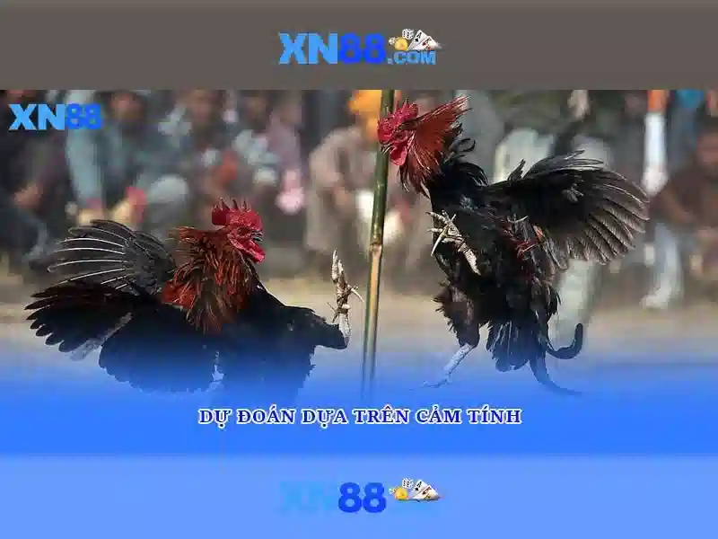 💎keo nhà cai euro 2024💎