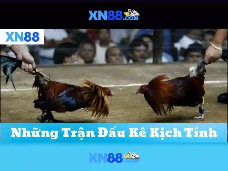 💎uk88 kd💎 - tại app uk88 - uk88 tải app