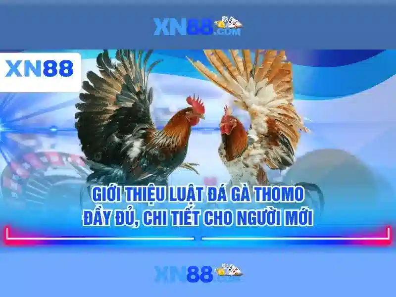 💎nha cai uy tin viet nam💎