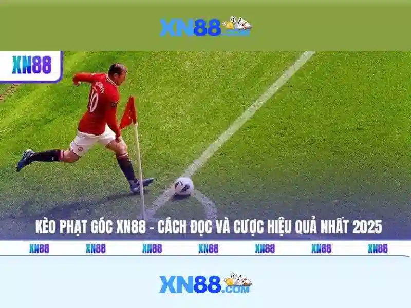 💎cá cược truyện hoàn💎