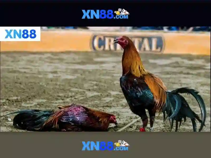 💎danh sách sân golf miền bắc💎