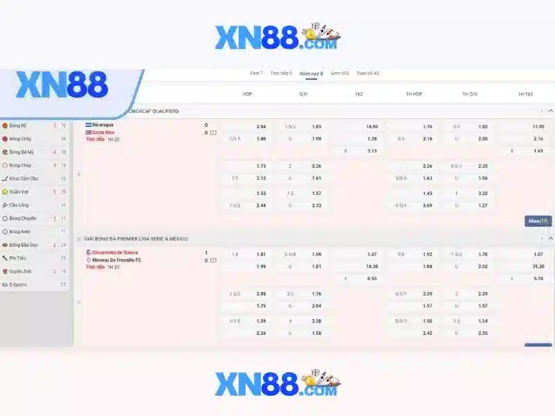 💎trang cá cược bóng đá236💎