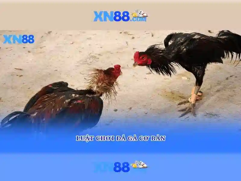 💎w88 link vào nhà cái 2024💎