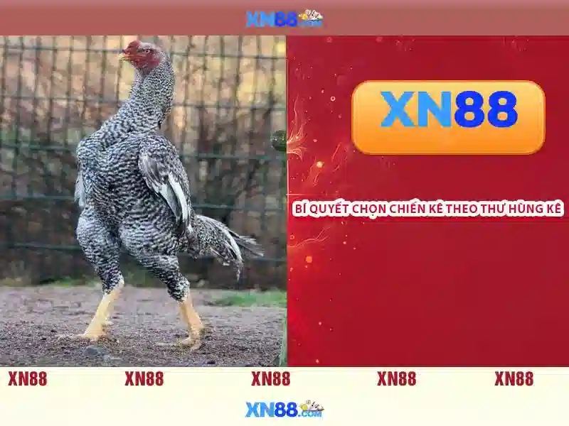  bắn cá XN88 - XN88