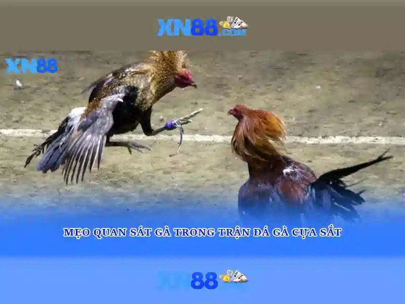 Tải XN88: Khám Phá Cách Chơi Slot Và Cơ Hội Thắng Lớn - XN88