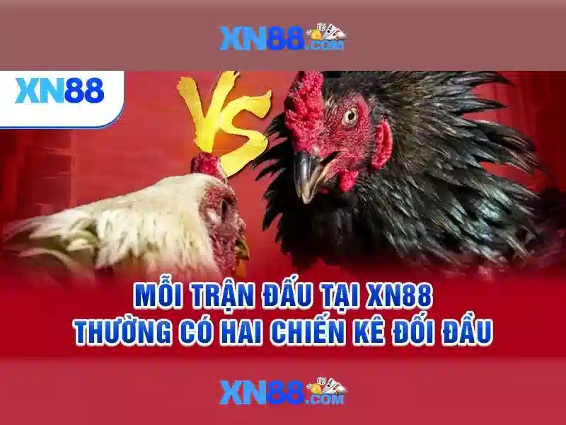 💎nhà cái hàng đầu châu á💎
