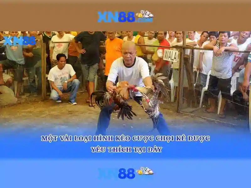 💎expansion slot💎