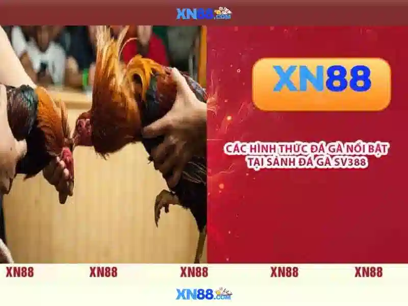 💎dpt20-66b💎 - cd 66b fluorochrome - bắn cá 66b