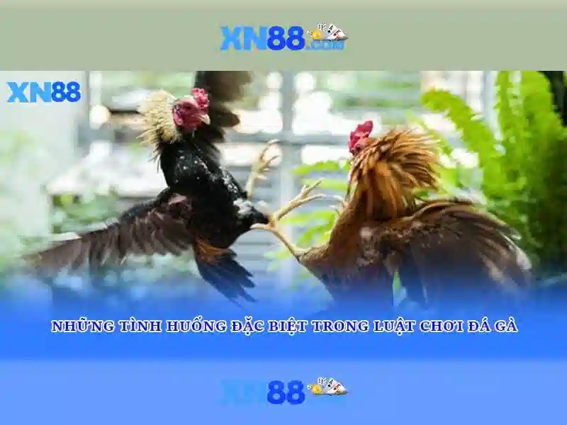 💎rise of dead slot💎