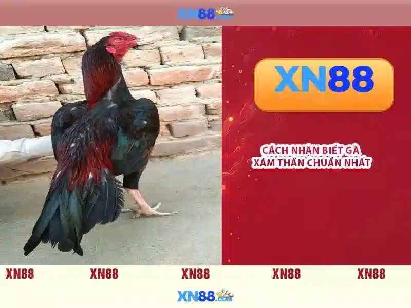  Slot di động - XN88