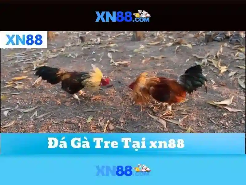 💎888 slot slot game download for android latest version💎