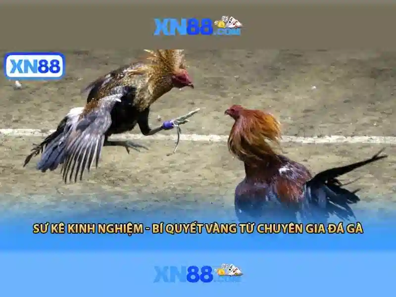  SƠ ĐỒ TRANG WEB XML - XN88