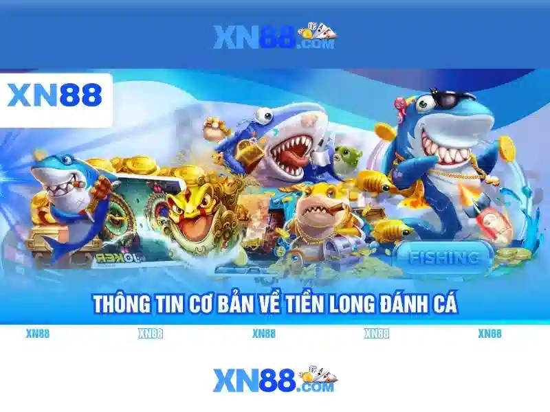 💎deneigement xn88💎