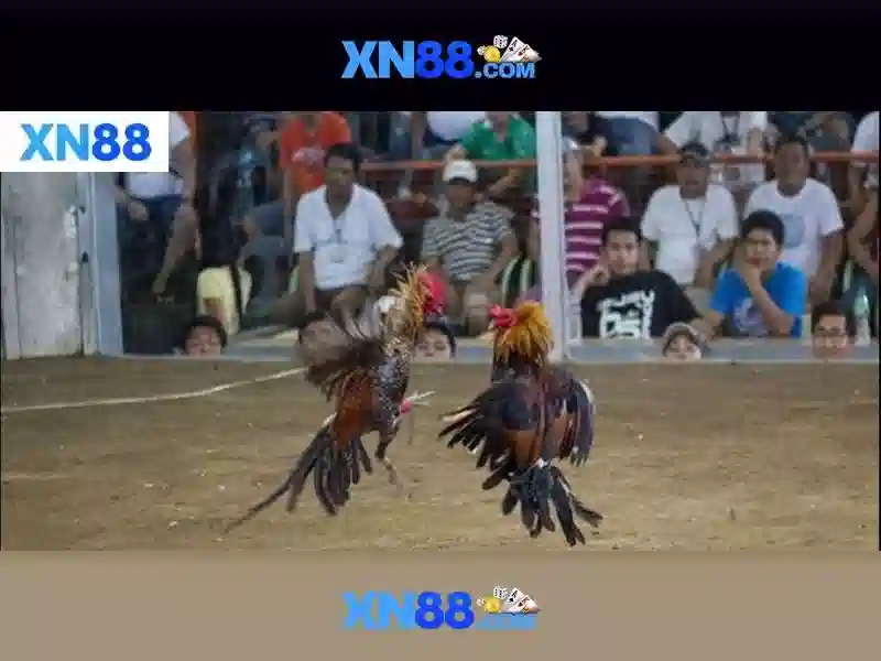 💎fabet bit💎 - fabet website - fabet review