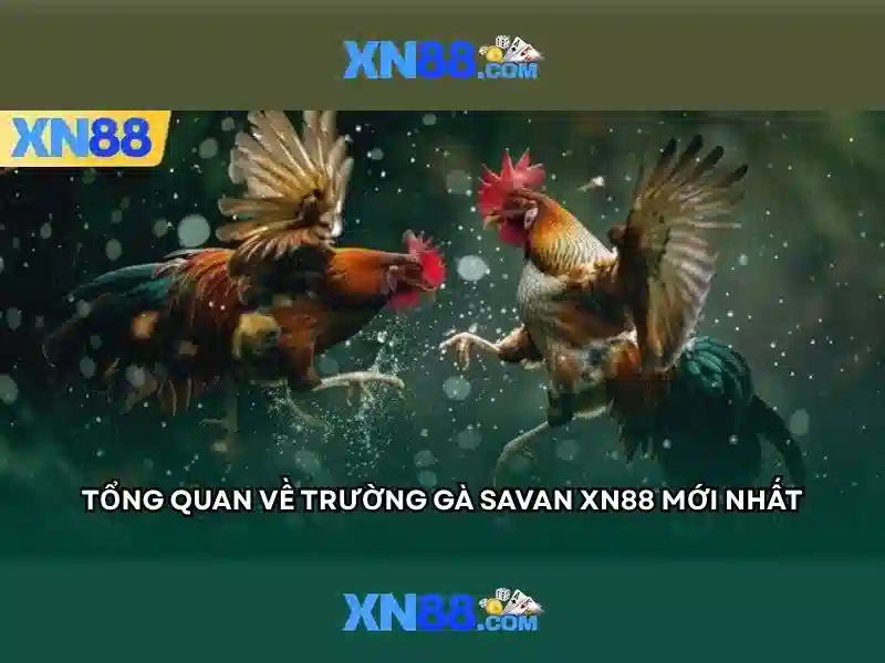 💎nổ súng sòng bạc củ chi💎