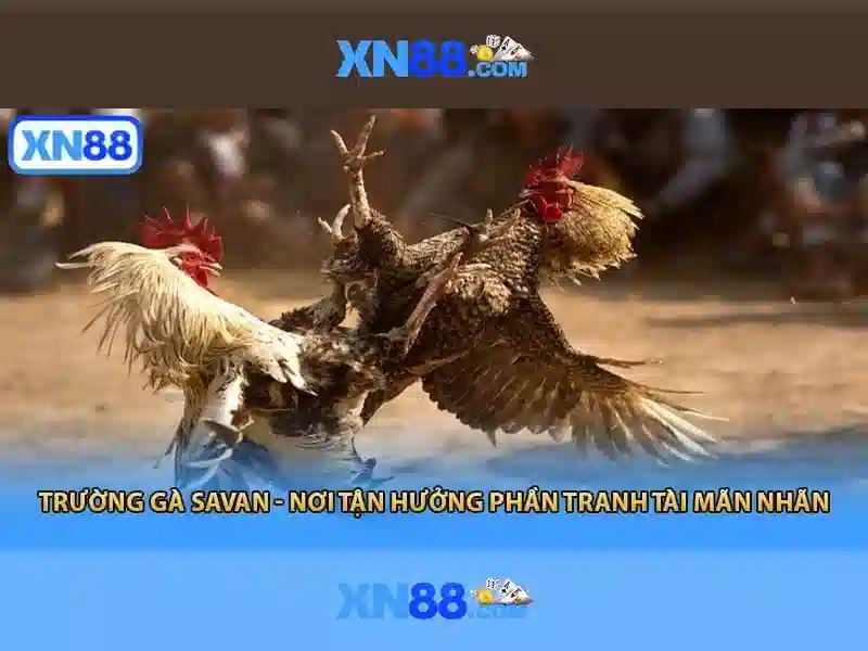 💎gambling free slots💎