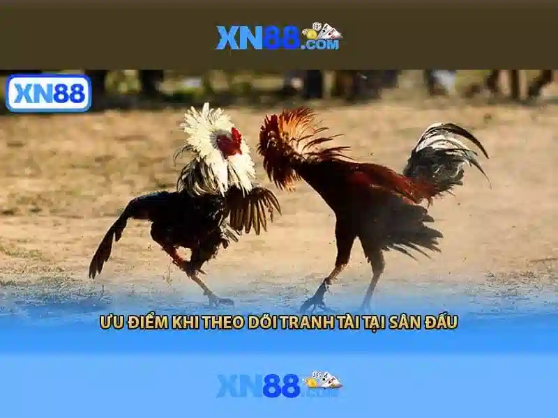 💎online 888slot java💎