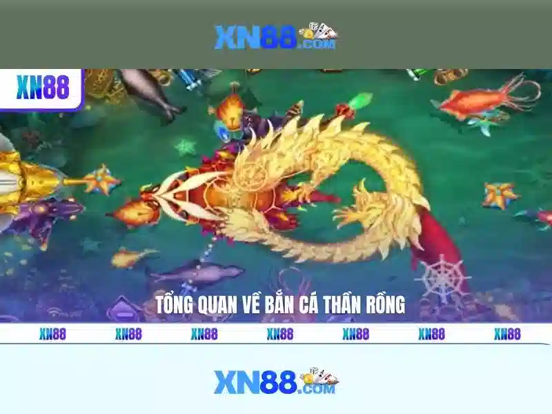 💎nhà thờ cái đôi💎