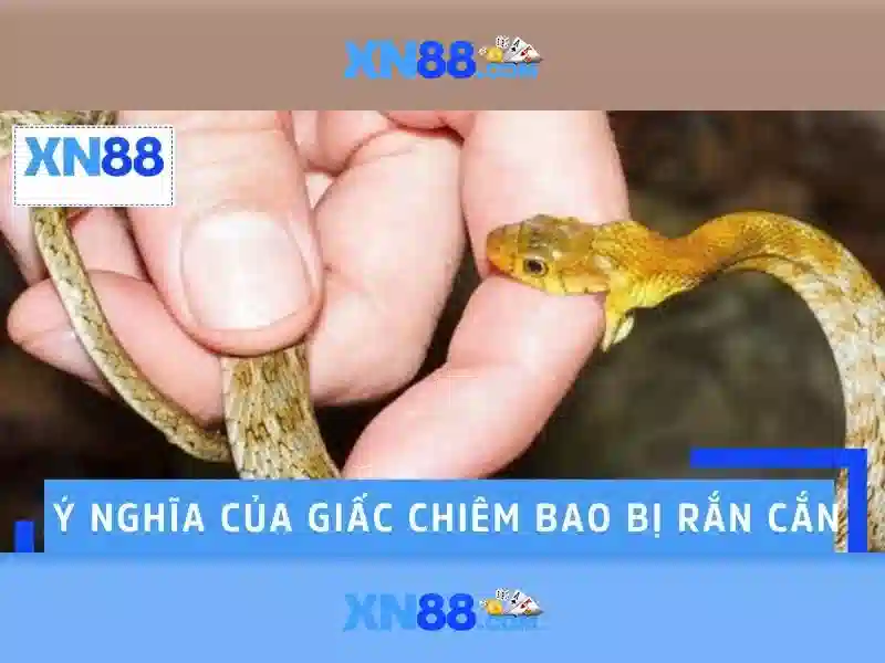 💎xem truc tuyen bong da kenh keo nha cai💎