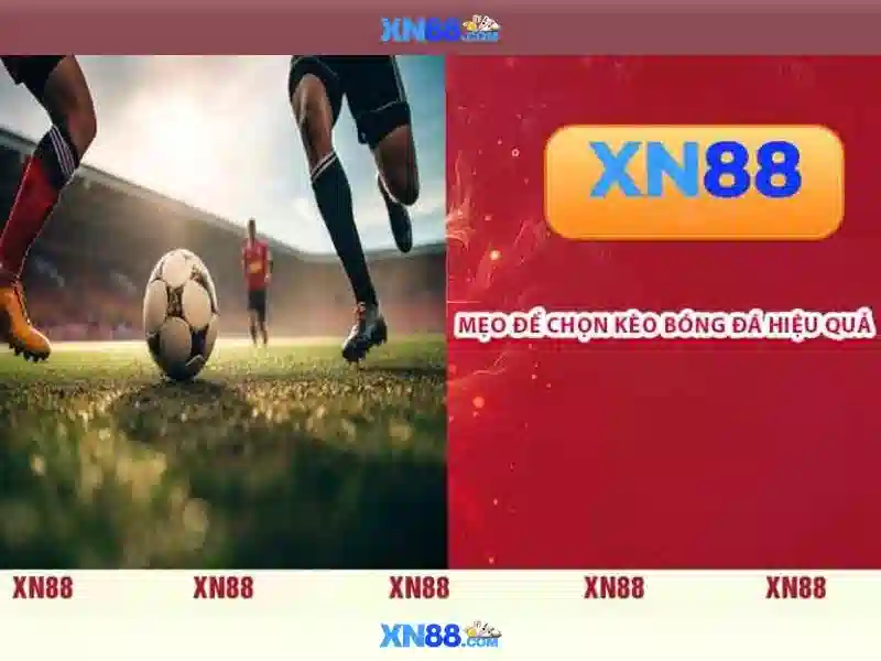 💎ca cuoc hop phap tai viet nam💎