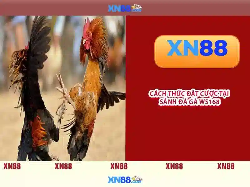 💎xn88 đang nhap💎