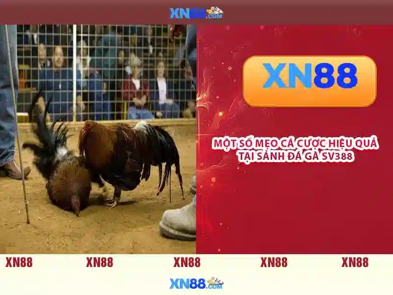 💎wu zetian slot machine💎