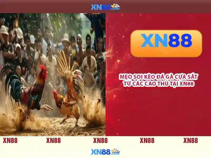 💎score8 888 slot slots💎