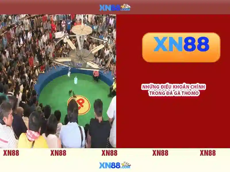 💎tái định cư bắc sông cấm💎