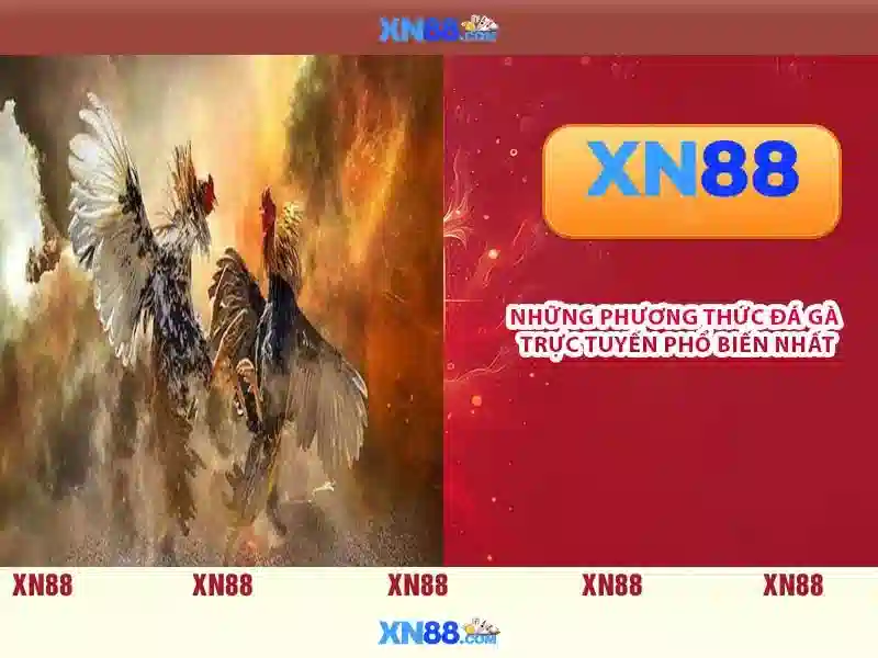 💎nha cai 6623💎