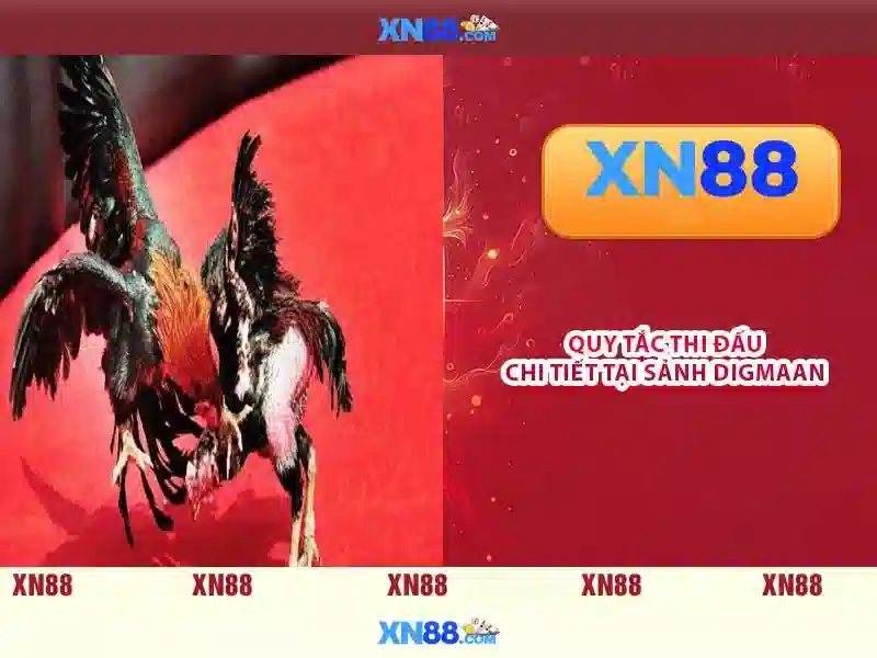 💎kèo nhà cái rekmira💎