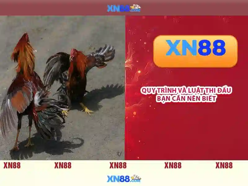 💎888slot promotion myanmar💎