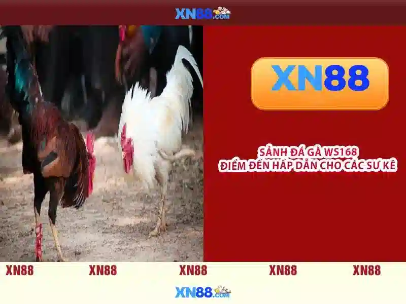 💎luis diaz hb88 slot💎