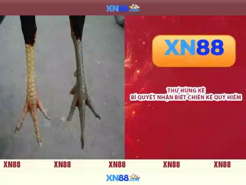 💎casino sin88💎 - sin88 s net - lấy mã sin88