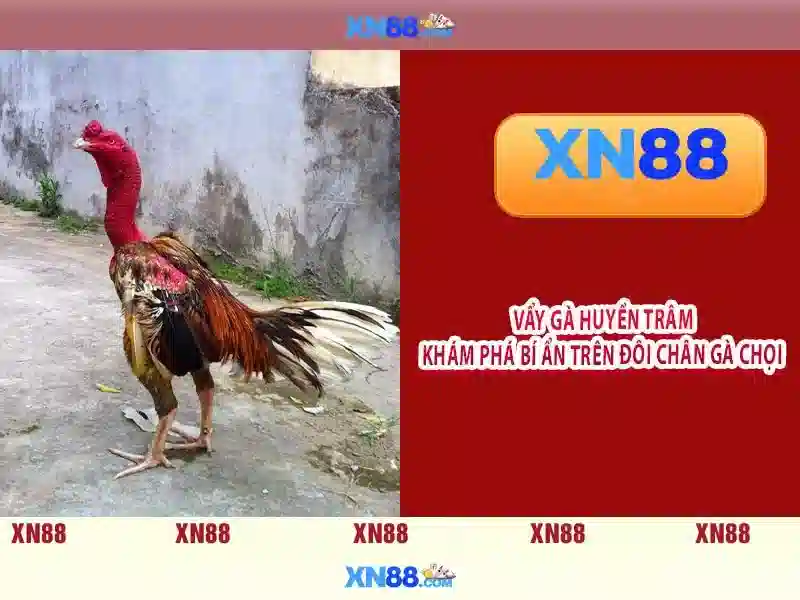 💎sin88 link vào💎 - sin88 sin88 - sin88 neteretournepas com