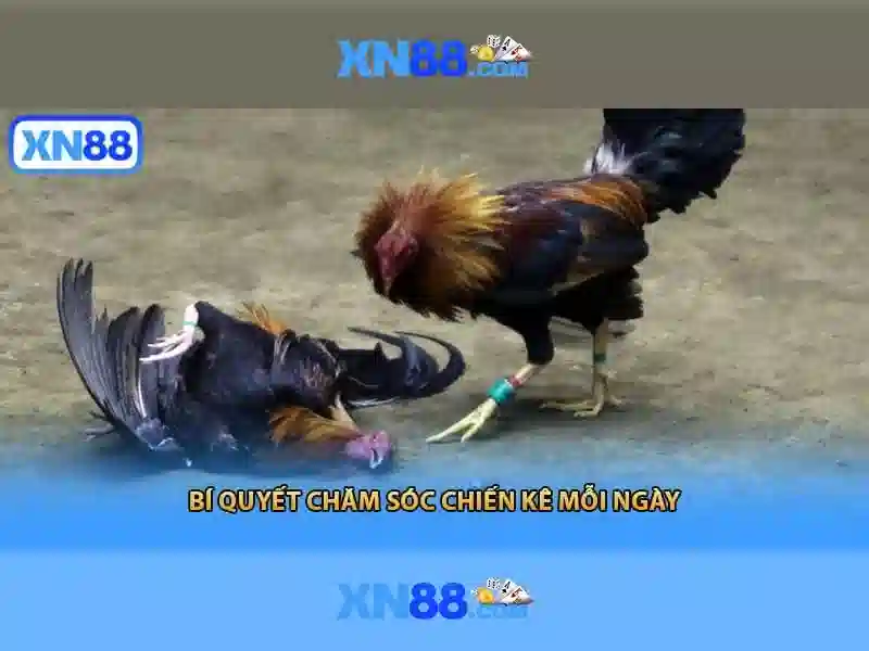 💎20 888 slot casino💎