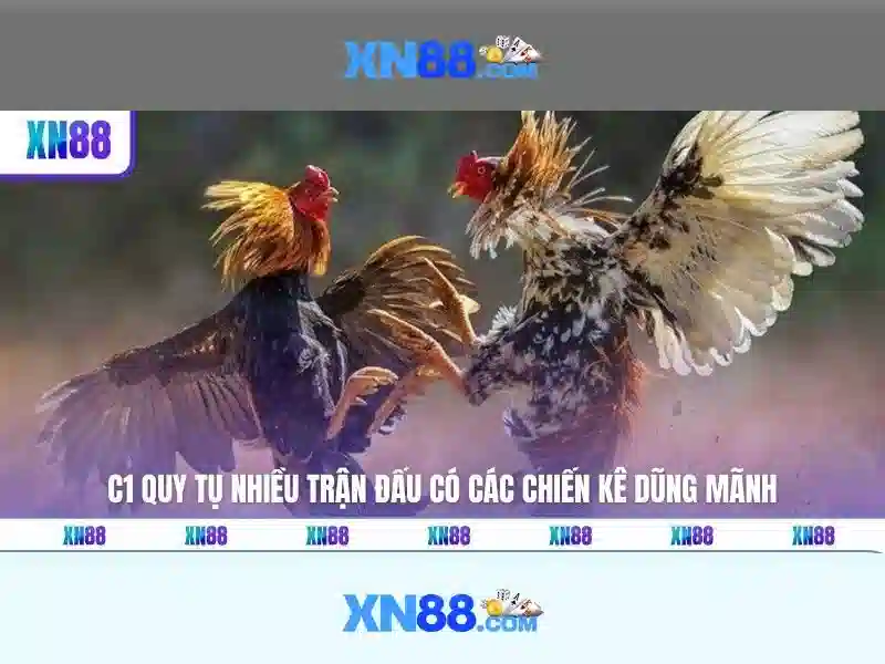  đánh giá XN88 - XN88