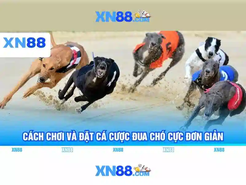 💎888 slot alot💎