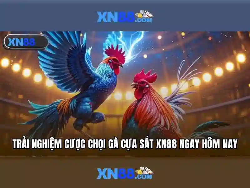  đăng nhập XN88 - XN88