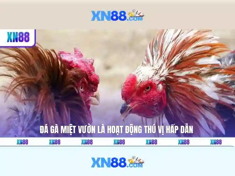 💎trang ca cuoc bong da 188 loto💎