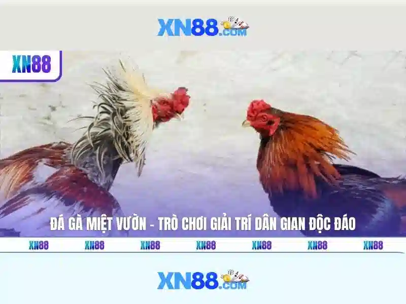  xn88 có uy tín không - XN88
