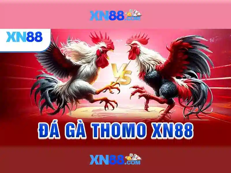 XN88 – Trải Nghiệm Slot Đỉnh Cao Với XN88 Slot - XN88