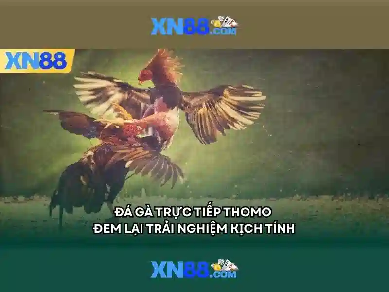 💎66b nguyễn sỹ sách hà nội💎 - sân 66b triều khúc - 66b an toàn không