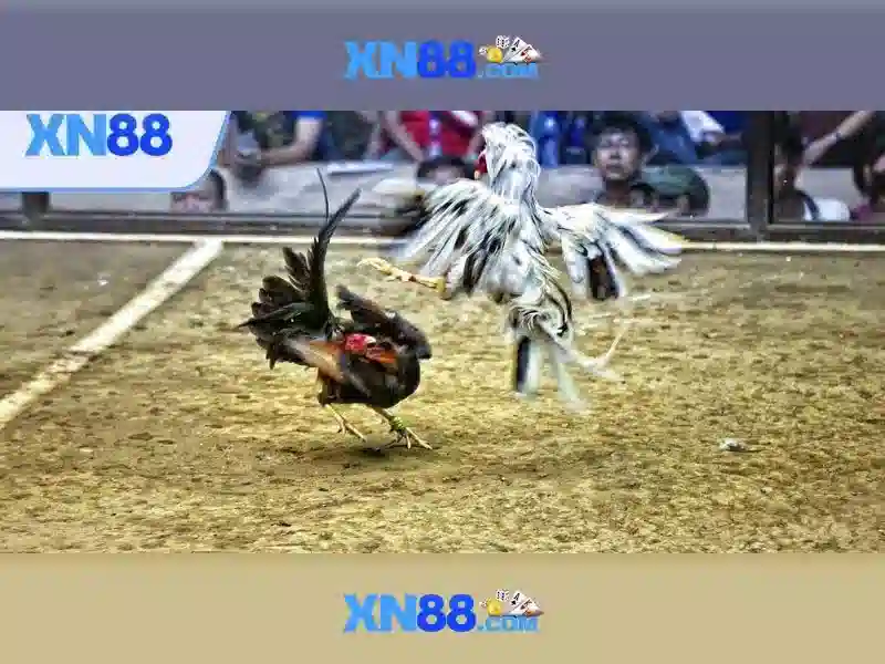 💎swinging bells slots💎