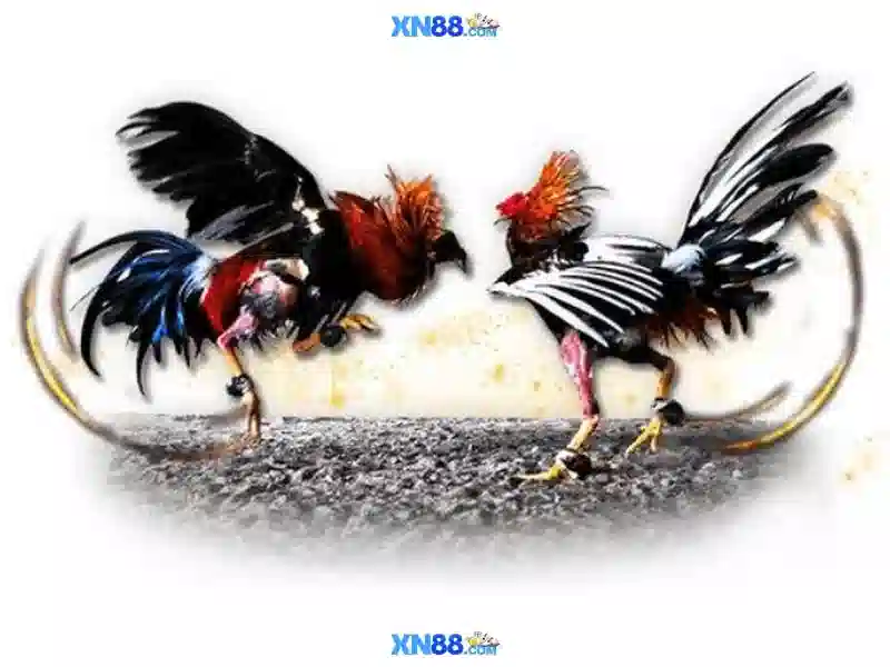 💎royal fishing hb88💎