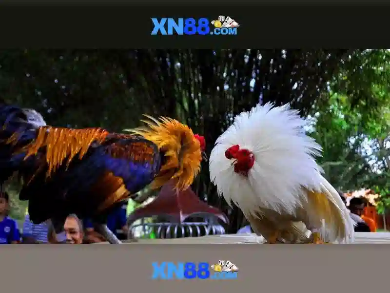 💎cổng game manclub💎 - manclub web - manclub đánh giá