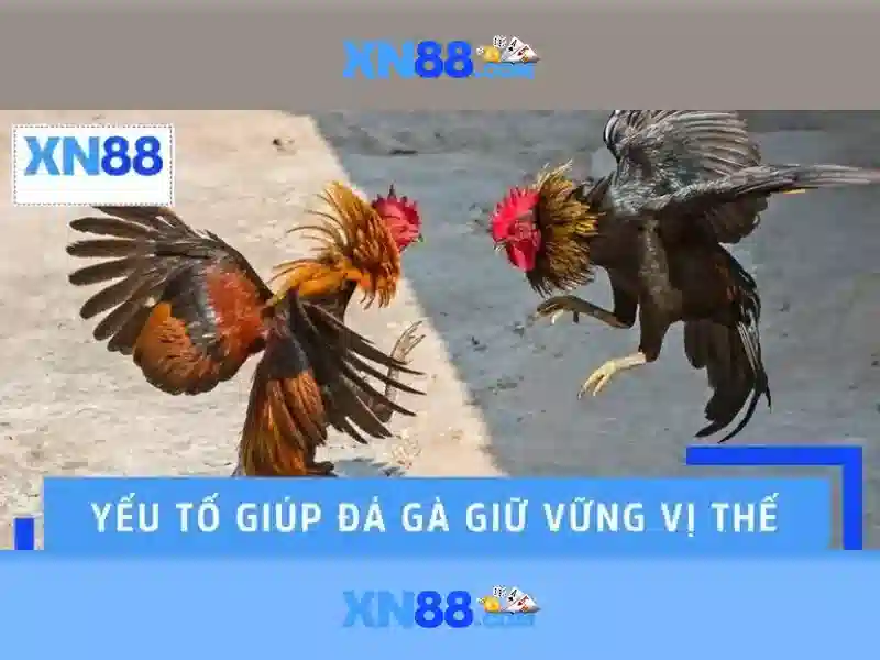 Cách Chơi XN88 Slot Hiệu Quả – Tăng Cơ Hội Thắng Lớn Mỗi Ván - XN88