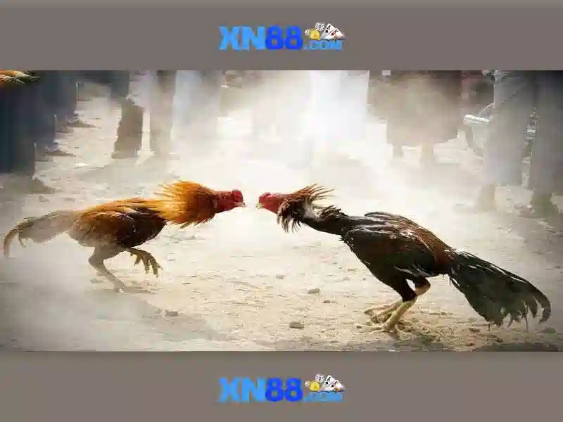 💎đàn ông cái nhà đàn bà cái bếp💎